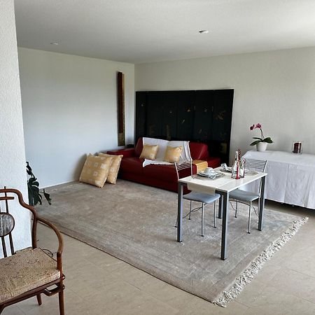 Lakeview Apartment-Lavaux Grandvaux Eksteriør billede